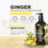 Lichen Best Ginger Shampoo for Prevent Hair Loss Oil Control and andti-dandruff